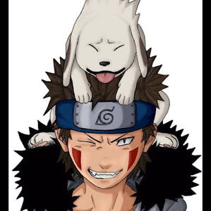 Meet your Posher, Kiba